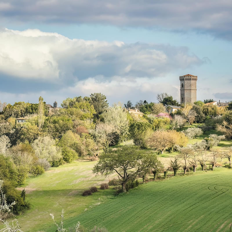 montemarciano